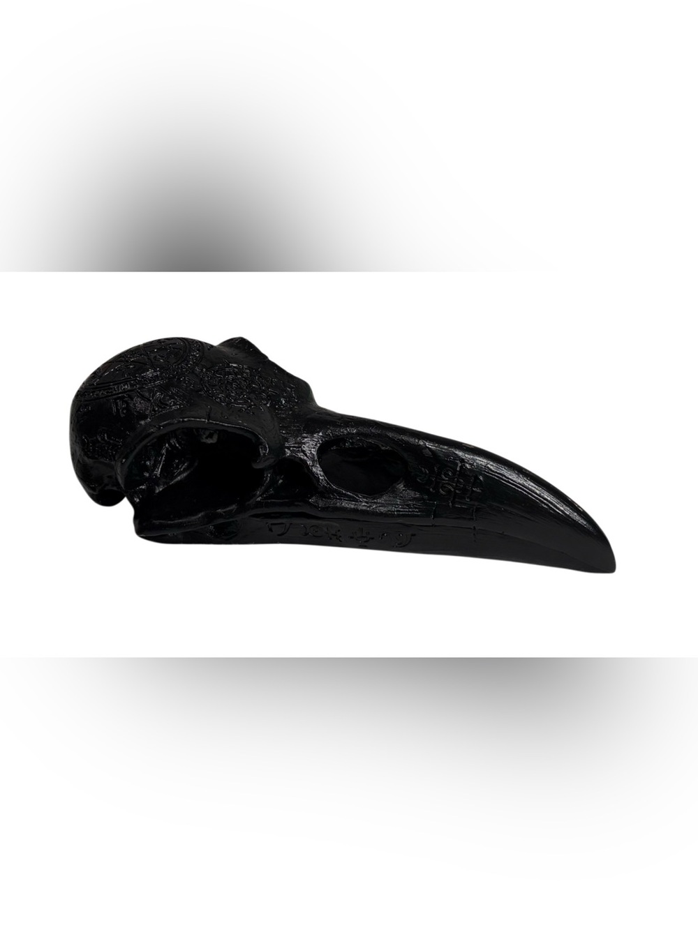 Goth Grunge Witchy Resin Raven Skull 6"